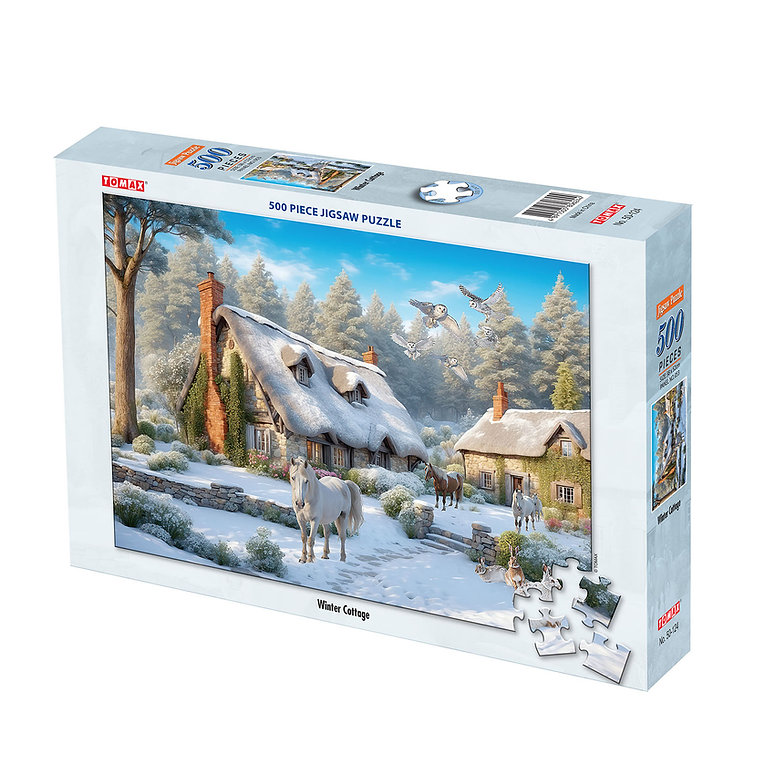 Winter Cottage